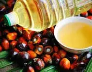 PALM OIL